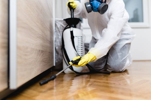 Arlington, OH Pest Control Pros