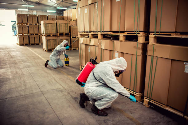 Best Pest Control Near Me  in Arlington, OH