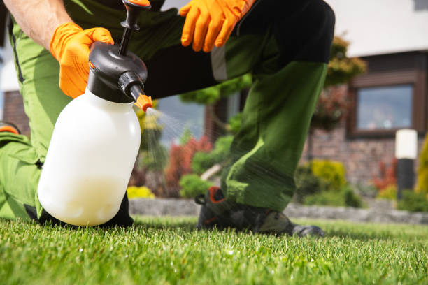 Best Residential Pest Control  in Arlington, OH