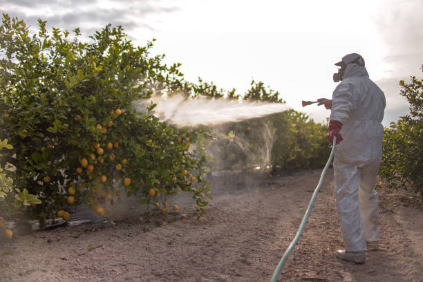 Best Pest Inspection Near Me  in Arlington, OH