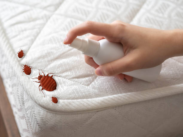 Best Pest Prevention Services  in Arlington, OH