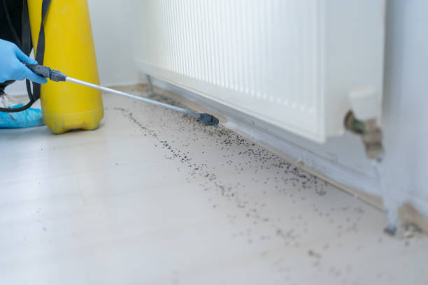 Best Pest Prevention Services  in Arlington, OH