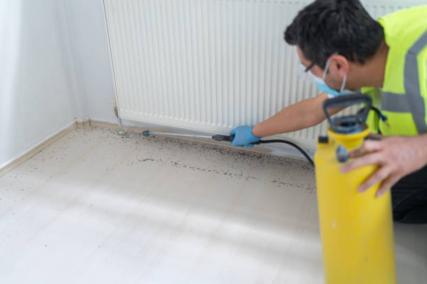Best Rat Extermination Near Me  in Arlington, OH