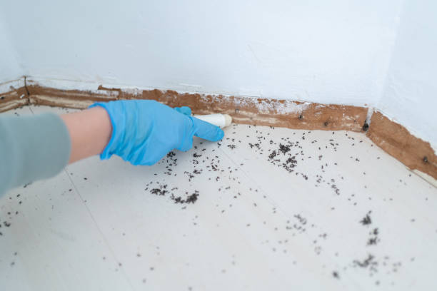 Best Emergency Pest Control  in Arlington, OH