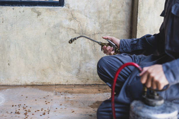 Best Pest Control Near Me in Arlington, OH